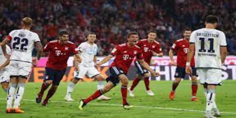 球迷与俱乐部的共鸣：欧宝体育见证希伯尼安的重生-欧宝体育