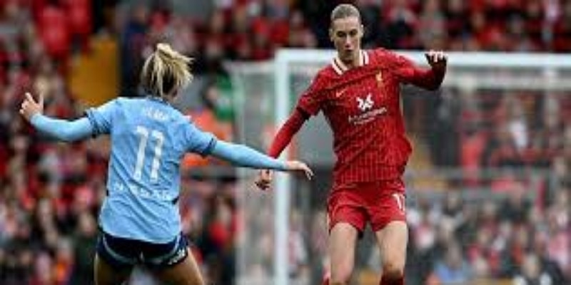 前瞻：多路径发展与未来机会-欧宝体育