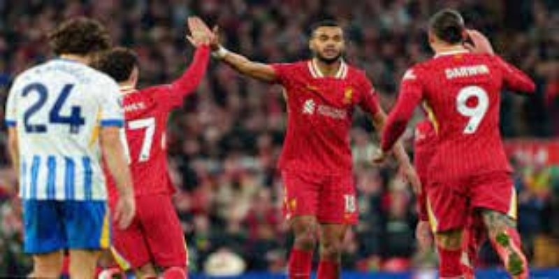 防守对决：欧宝体育解析穆里尼奥大巴能否压制利物浦锋线 -欧宝体育