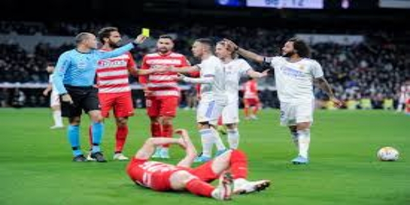 欧宝体育预测：夺冠概率与历史趋势-万博体育