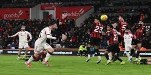 专家观点与未来展望 -欧宝体育