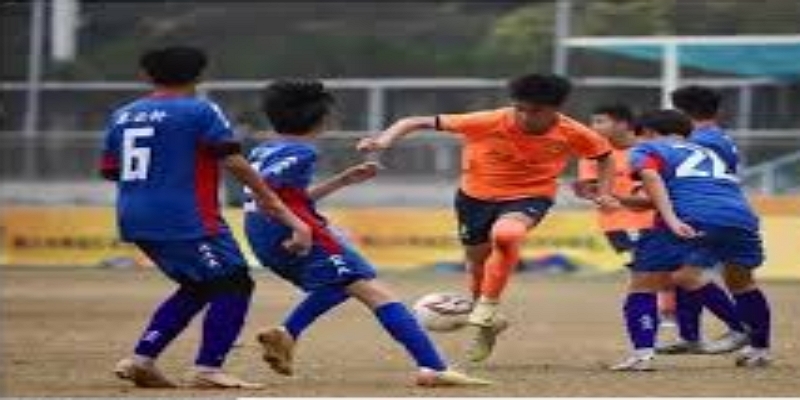 欧宝体育聚焦：勇敢打破沉默的受害者声音 -欧宝体育